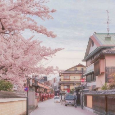 海孔洞传奇：晋林火炮